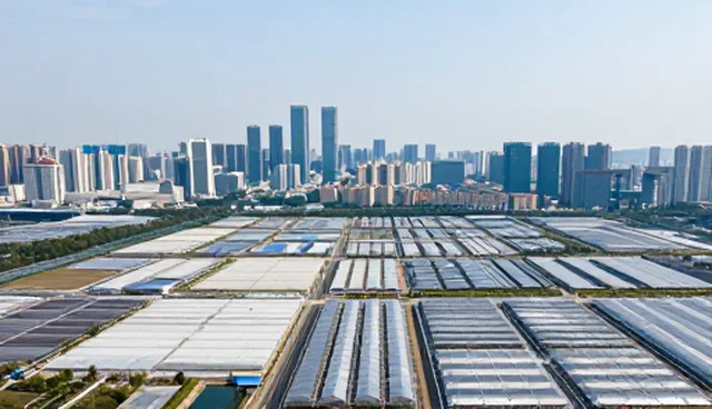 操作规范对方案设计结果的影响原因分析